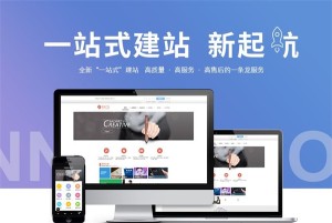 如果要做外贸SEO优化，用什么建站程序效果最好？